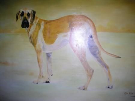 L'artiste marc machin - portrait d'un chien