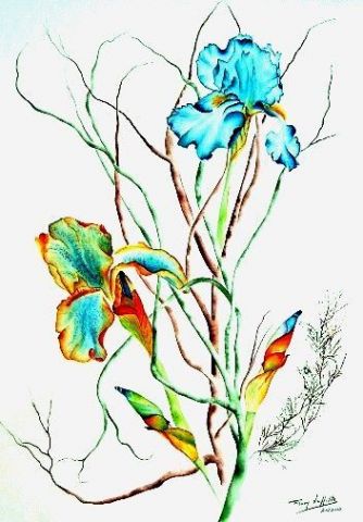 L'artiste Fanny LAFFITTE - Iris flamboyants