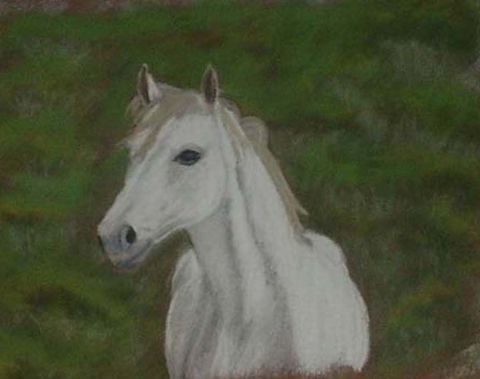 le cheval blanc - Peinture - corlig