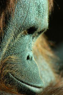 regard regardez-moi - Photo - raymond jose