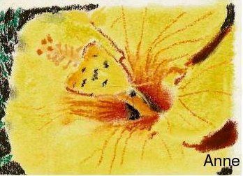 Fleur jaune - Dessin - paradisianna