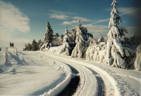 NEIGE A LA CAMPAGNE - Photo - rose