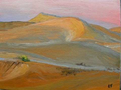 L'artiste Lyzy - Desert de sable