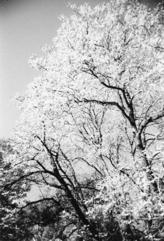 Eclairage d'automne - Photo - Renatus