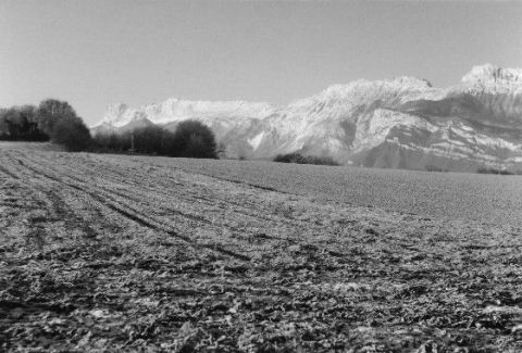 Campagne dauphinoise - Photo - Renatus