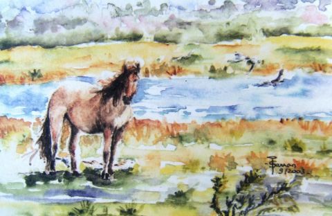 Cheval des marais - Peinture - Isabelle SARRAN GUILHEM