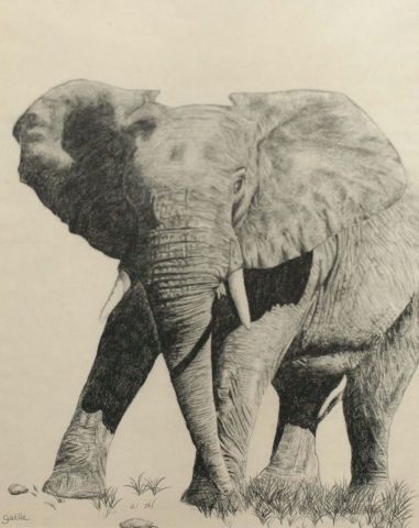 la grace de l'elephant - Peinture - Gaelle