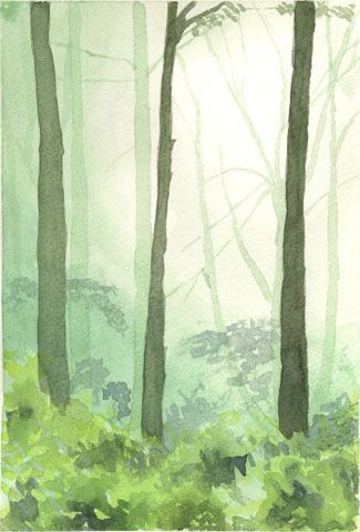 L'artiste patricia - Sous bois dans la brume