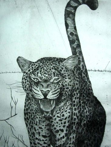 L'artiste Gaelle - guepard