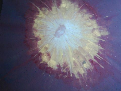 meduse - Peinture - cattal