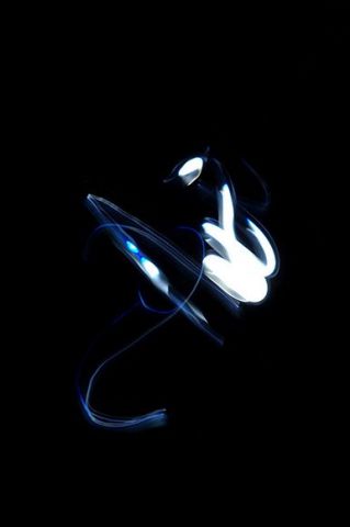 Le serpent veille  - Photo - Elyan Vadel-Costa