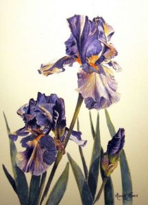 Voir le détail de cette oeuvre: Grand iris bleu