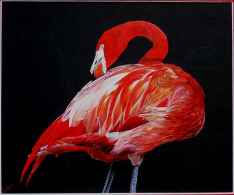 flamand rouge de Floride - Peinture - Gines