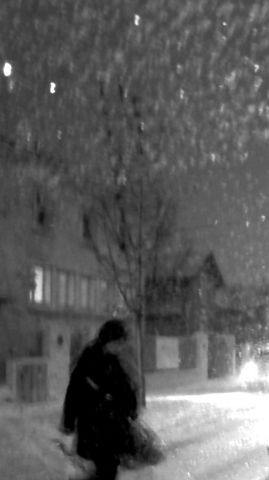 L'artiste sam - seul dans la neige