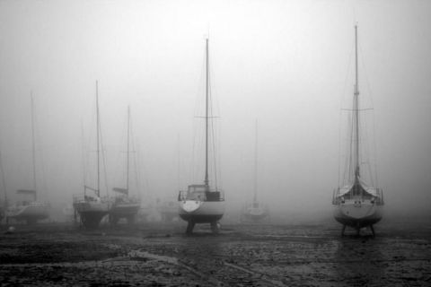 Dans la brume - Photo - foundryprod