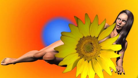 Naissance d'une fleur - Art numerique - Cactus42