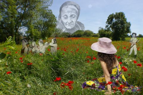Le champs du printemps - Art numerique - Photopaulo