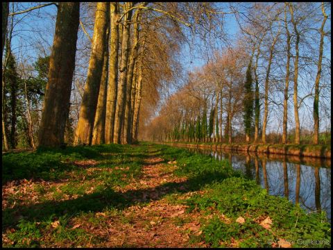 Le Canal - Photo - Peexels