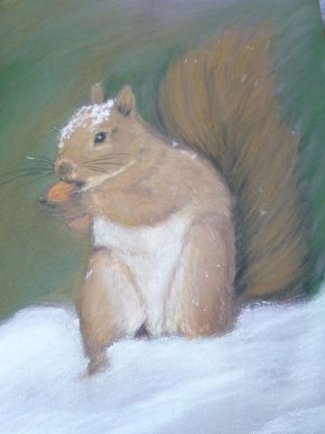 ecureuil - Peinture - joelle
