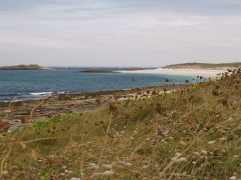 Ile de St nicolas - Photo - olympia