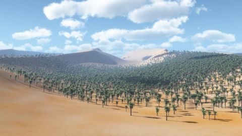 Oasis_1 - Art numerique - Cactus42