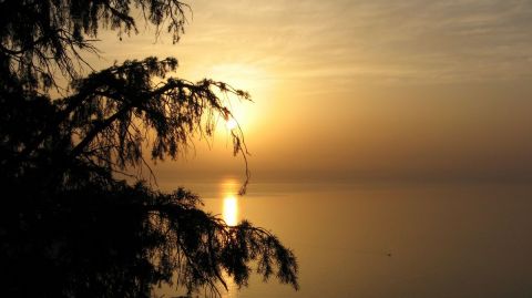 Ombre orangee - Photo - EdVautier