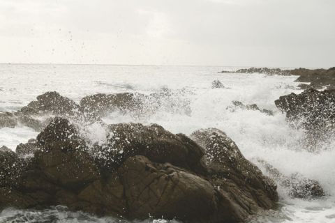 Pointe du rat - Photo - Canyon