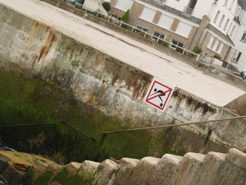 plongeon de macadam - Photo - olympia