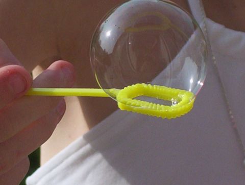 bulle - Photo - coccinelle