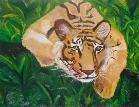 Tigre - Peinture - Enel