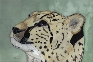 Voir cette oeuvre de silou: Le guepard