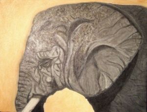 Voir le détail de cette oeuvre: l'elephant