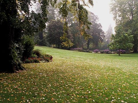 BRUME SUR LE PARC - Photo - JYHEL