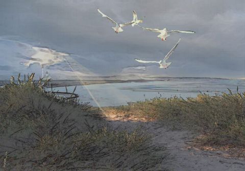 Baie d' Authie - Art numerique - Alexei