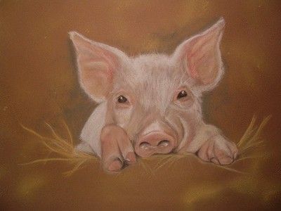 petit cochon - Dessin - atanchon