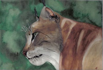 Le lynx - Peinture - silou