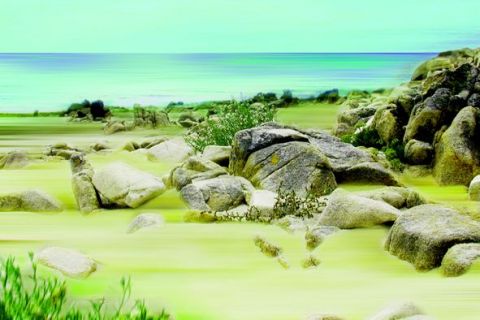 plage de la trinitee sur mer - Photo - jean-marcel coulombeau