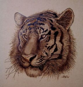 Oeuvre de HOTOP: Tiger Khan