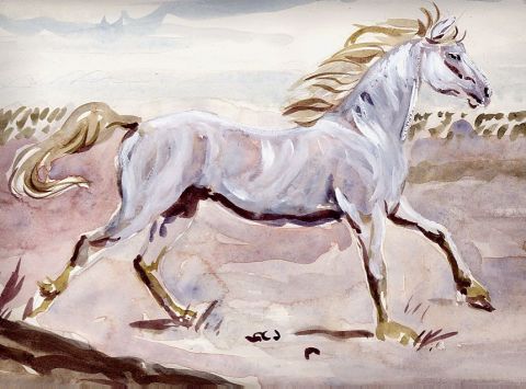 Wild White Horse - Peinture - Col2cygne