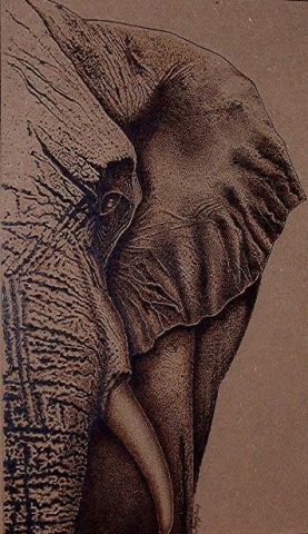 L'artiste HOTOP - Elephant view