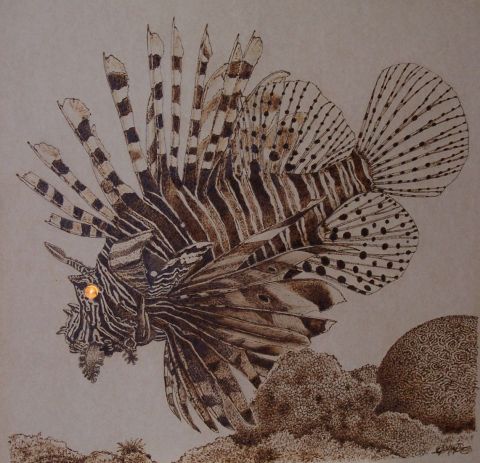 L'artiste HOTOP - Lion Fish