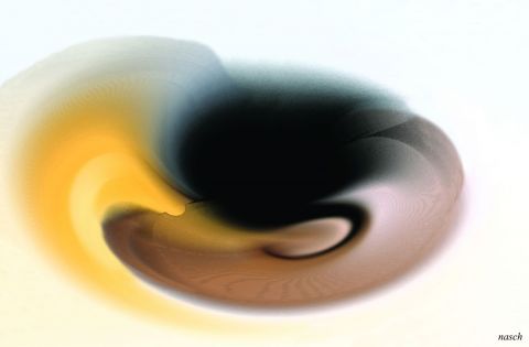 coquillage - Art numerique - nasch