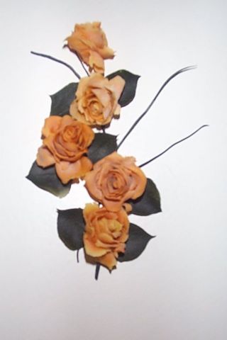 roses orangées - Autre - lestef1943