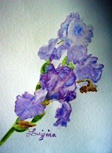 bel iris - Peinture - Luigina