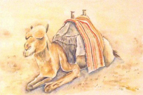 L'artiste guyjean - chameau