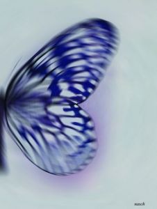 Art_numerique de nasch: papillon se pose