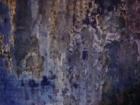 L'artiste carina cornelissen - periode bleue n3