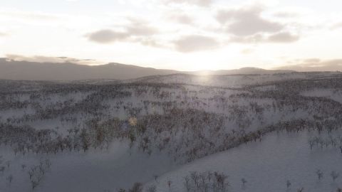 Matin froid d'hiver - Art numerique - Cactus42