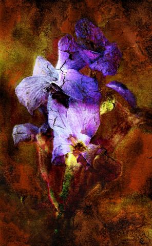 Iris - Art numerique - Pixartiste