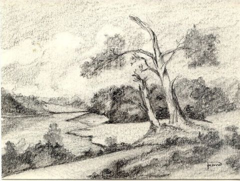 L'artiste paulmarre - Les arbres